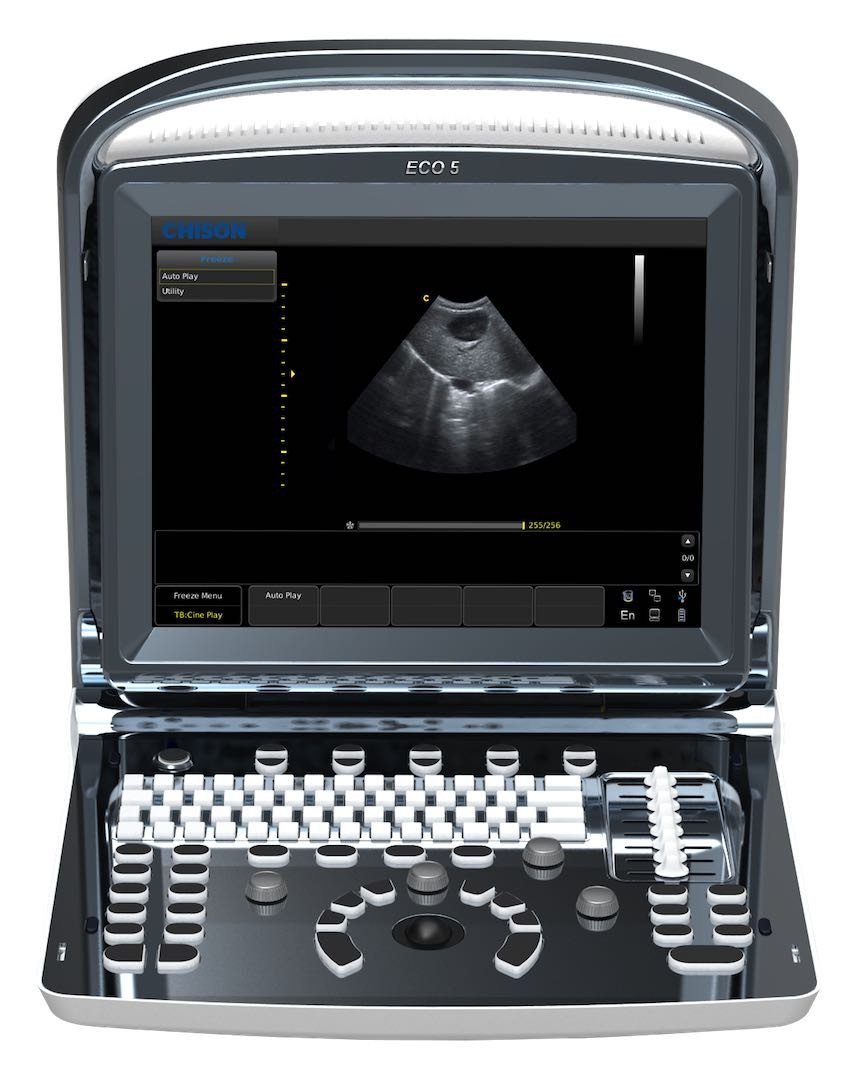 Zoom
